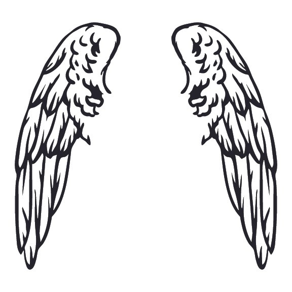 ANGEL WINGS 001