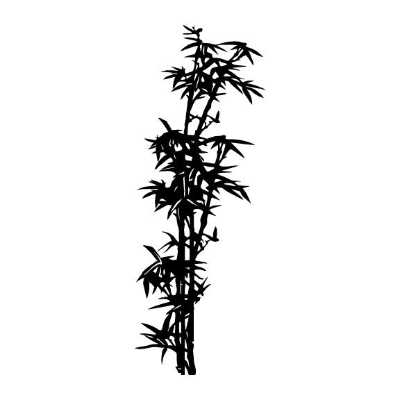 BAMBOO 001