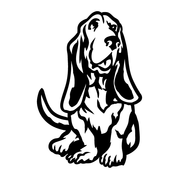 BASSETT HOUNDS 002