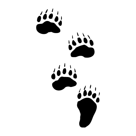 BEAR TRACKS 003
