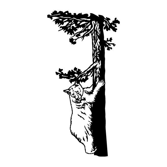 BEARS 008