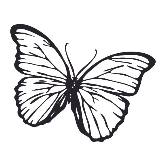 BUTTERFLY 005 – Design Memorials