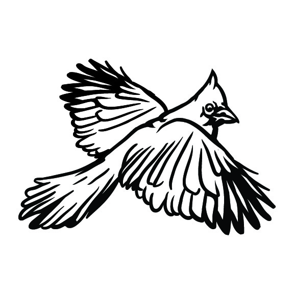 CARDINAL 003
