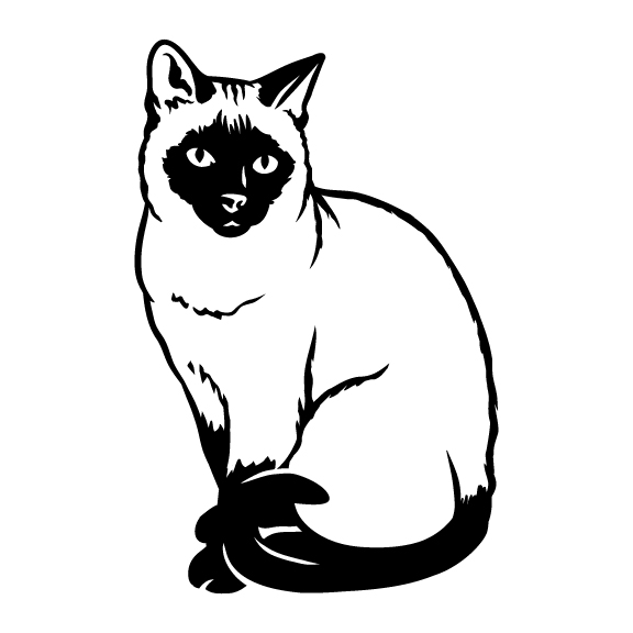 CATS 001