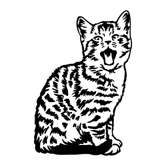 CATS 007