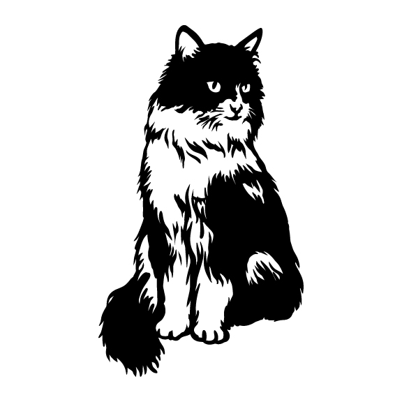 CATS 011