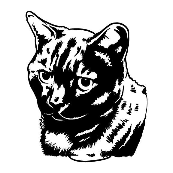CATS 016