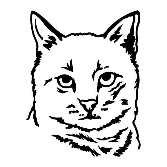 CATS 018