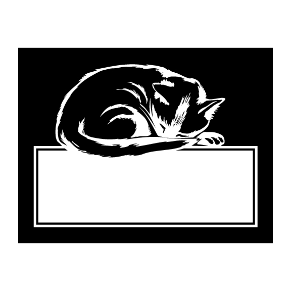CATS 020