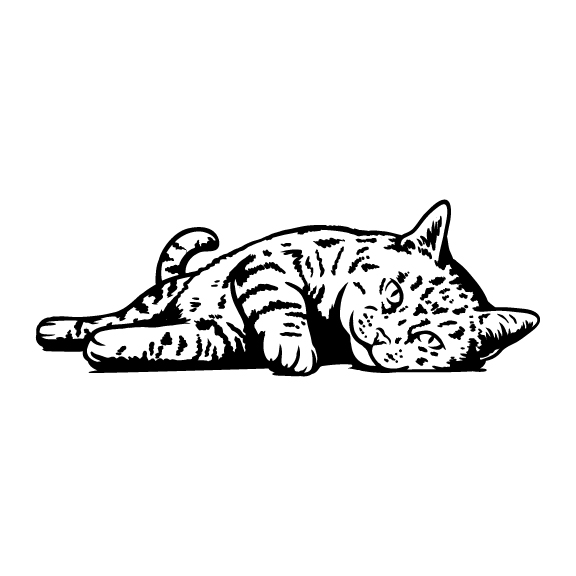 CATS 027