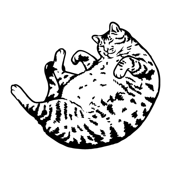CATS 028