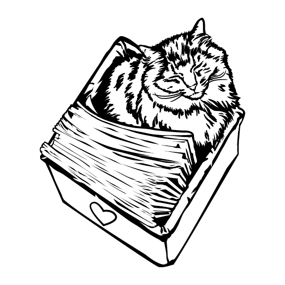 CATS 029