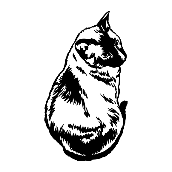 CATS 031