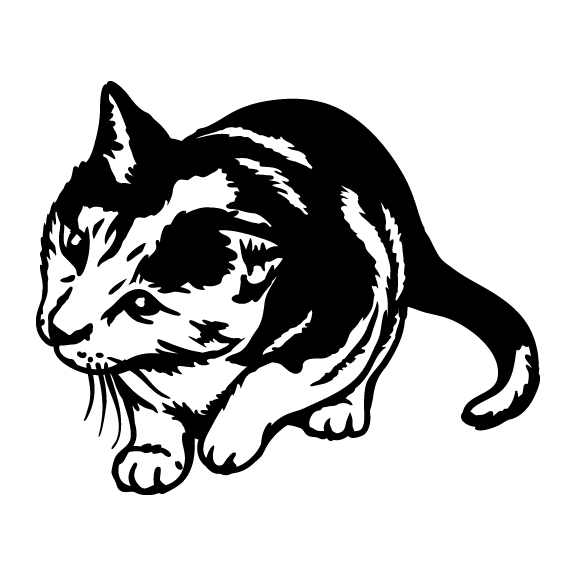 CATS 034
