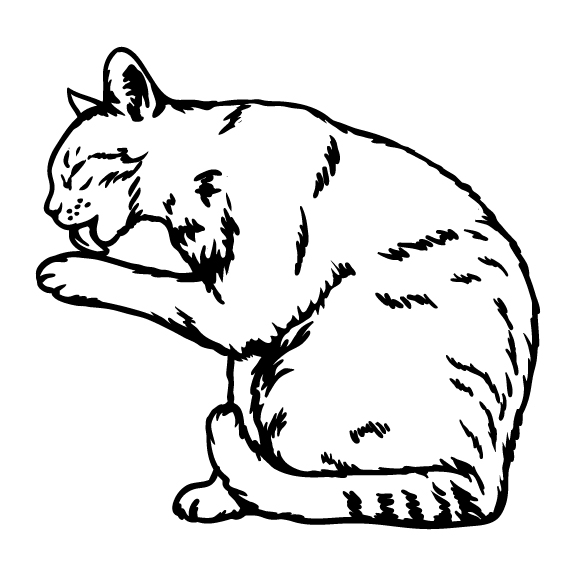CATS 036
