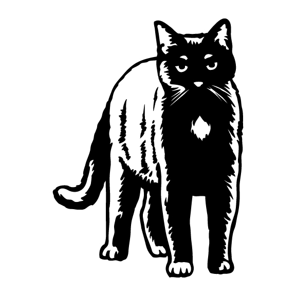 CATS 037