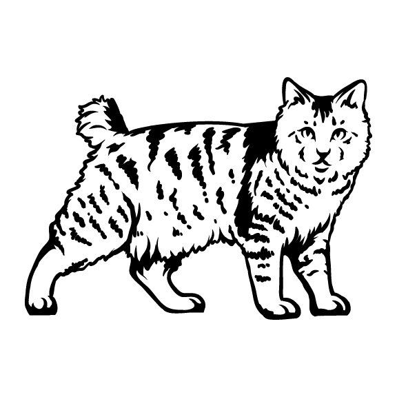 CATS 039