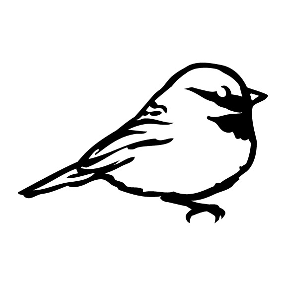 CHICKADEE 004