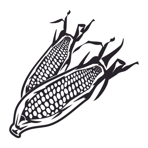 CORN 002