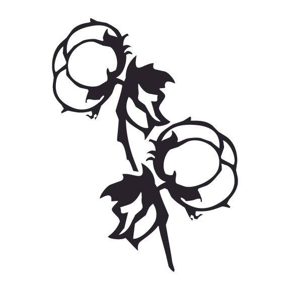 COTTON 001