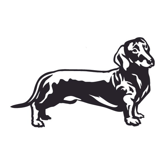 DACHSHUNDS 003
