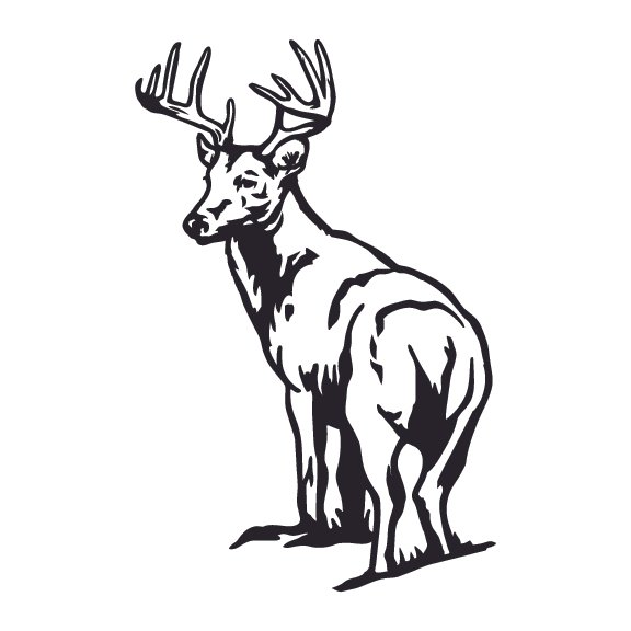 DEER 003