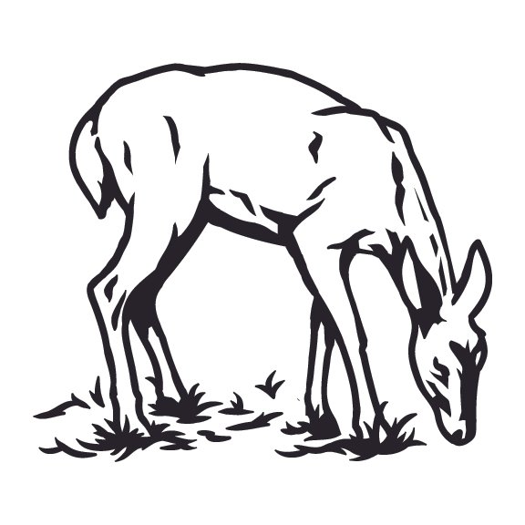 DEER 011