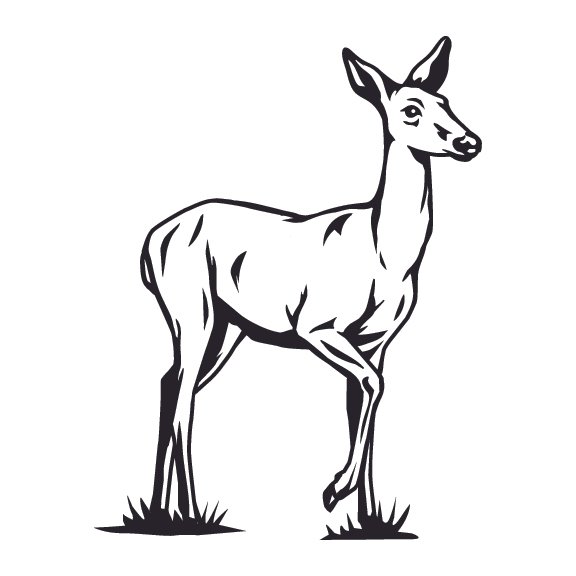 DEER 012