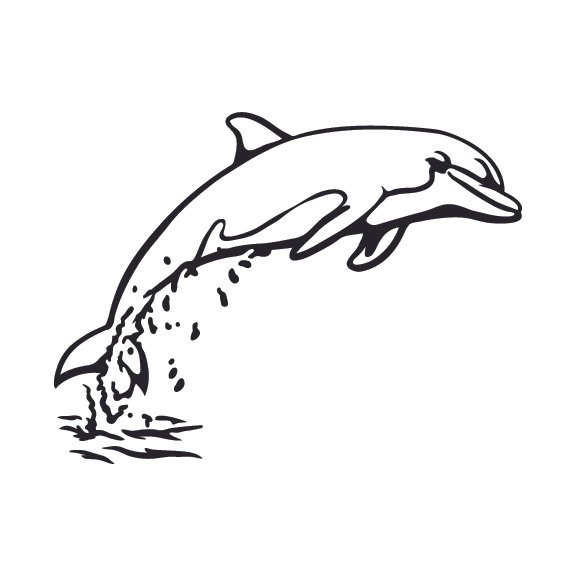 DOLPHINS 002
