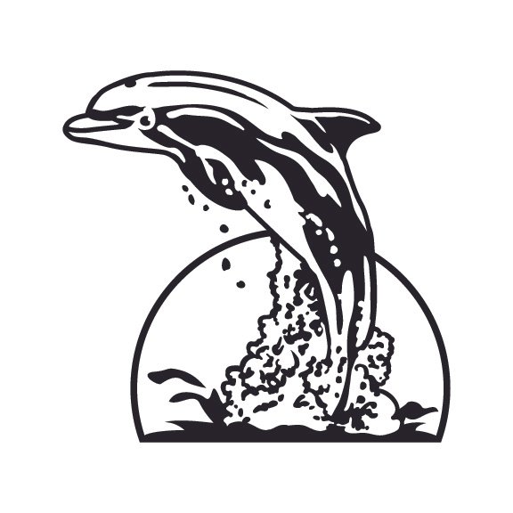 DOLPHINS 003