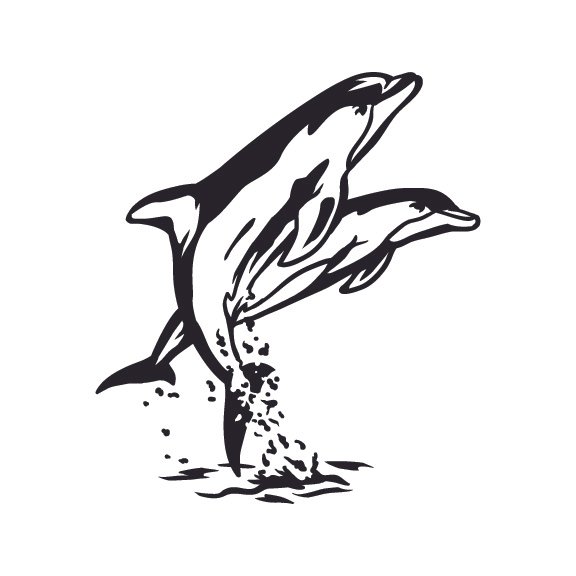 DOLPHINS 004
