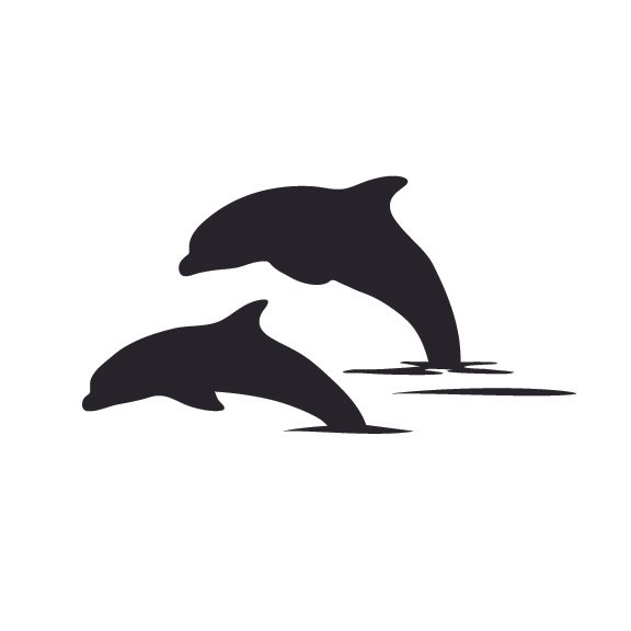 DOLPHINS 005