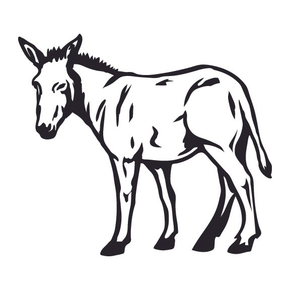 DONKEY 001