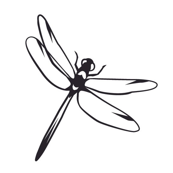 DRAGONFLY 003