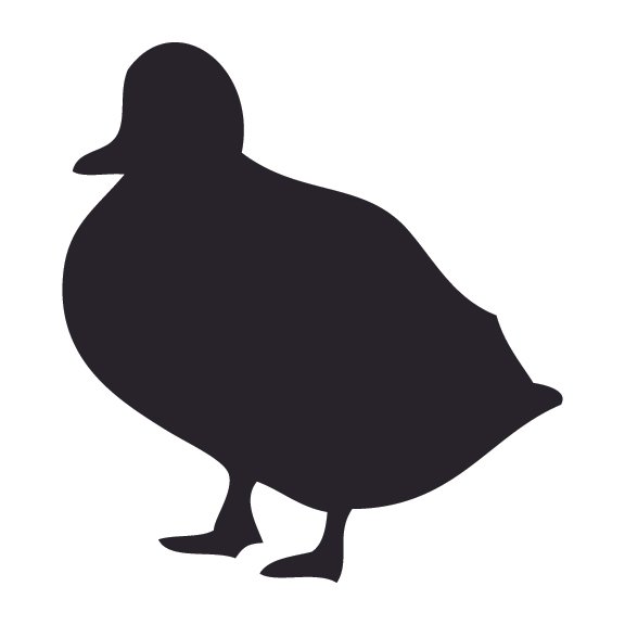 DUCKS 009