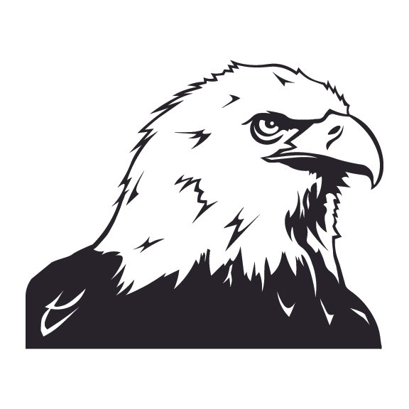 EAGLES 022