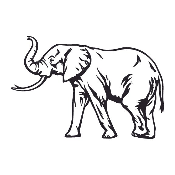 ELEPHANTS 006