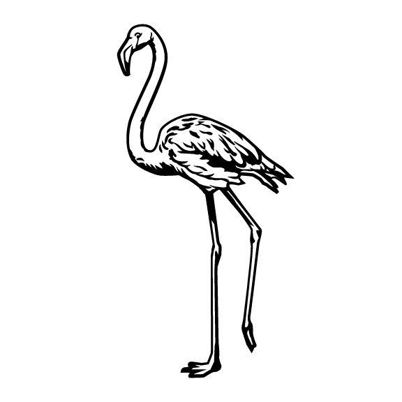 FLAMINGOS 001 (ANIMALS, BIRDS, FLAMINGOS)