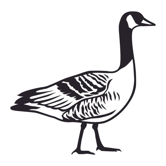 GEESE 001