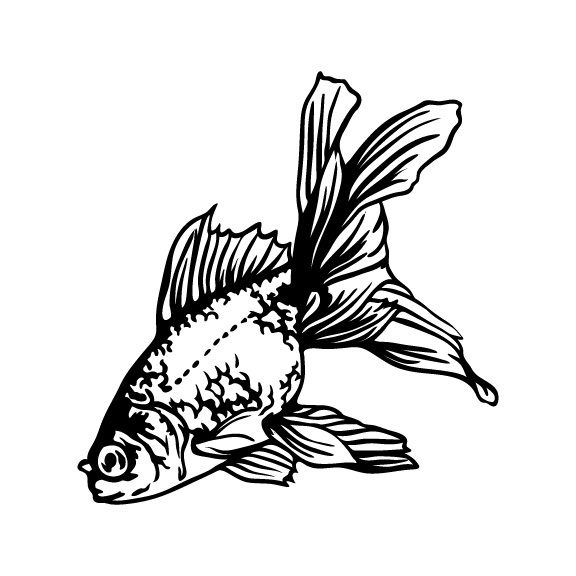 GOLDFISH 002