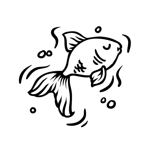 GOLDFISH 003
