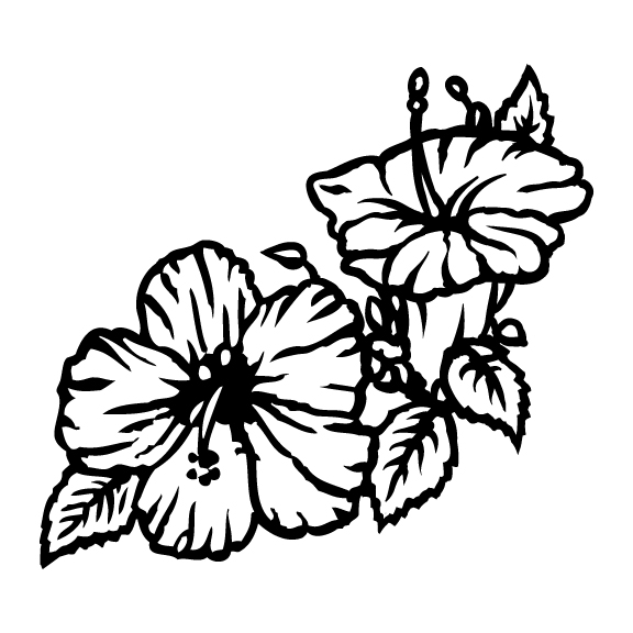 HIBISCUS 003
