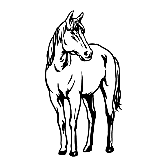 HORSE 003
