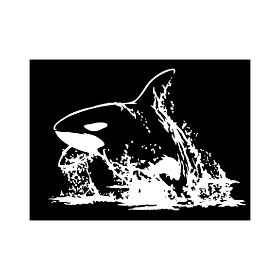 ORCA WHALE 001