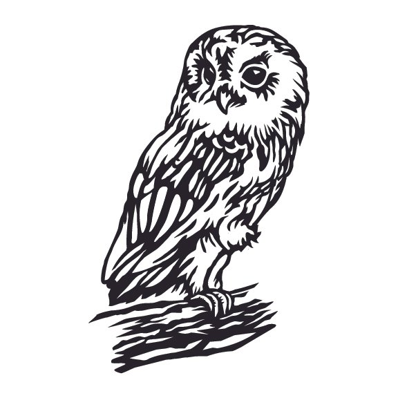 OWLS 002