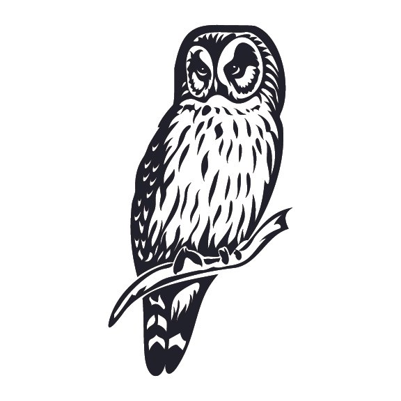 OWLS 004