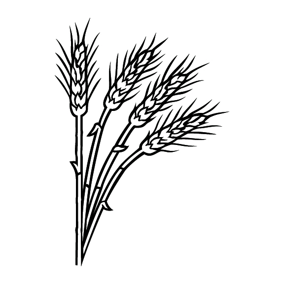 WHEAT 002