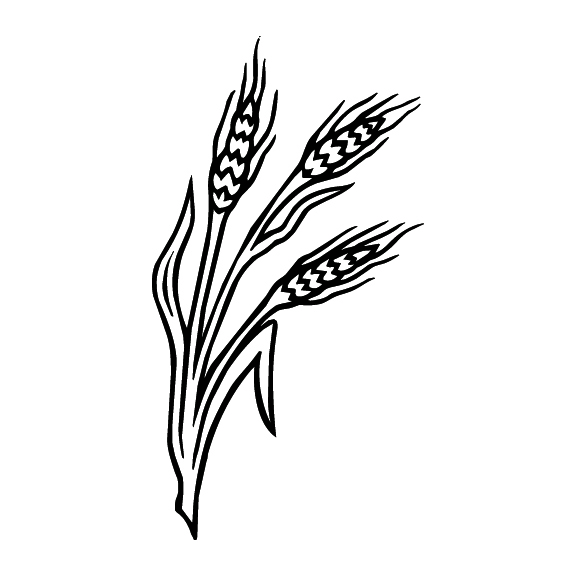 WHEAT 012
