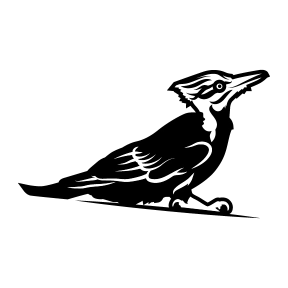 woodpecker 001